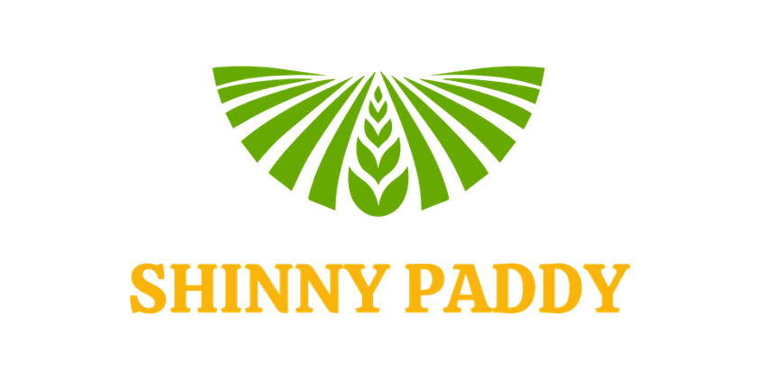 Shinny Paddy